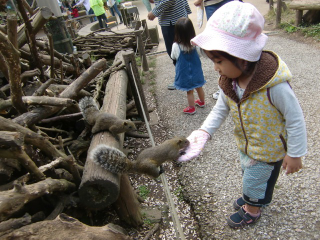 Illustration for article titled Inside Japan's Squirrel Gardens. Yes, Squirrel Gardens!